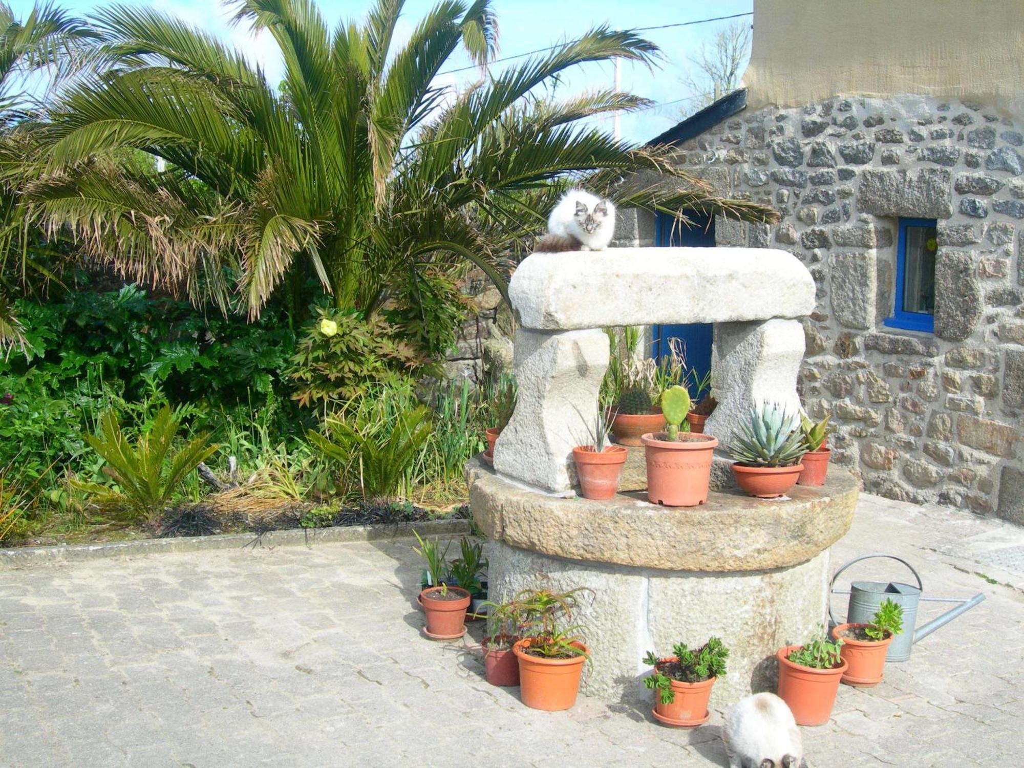 Chambres D'Hotes Le Nid D'Iroise Lanildut Luaran gambar